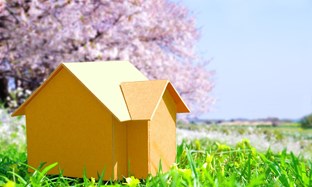 Spring Roofing Checks