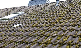 Why Roof Maintenance is Important