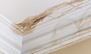 Problems of Not Repairing a Leaking Roof