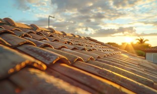 Tips to Protect Your Roof